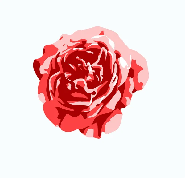 Vecteur fleur rose rouge — Image vectorielle
