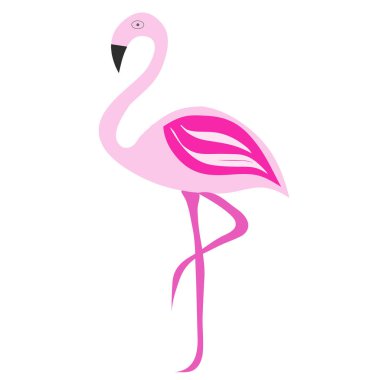 pembe flamingo vektör illüstrasyonu