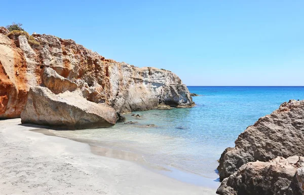 Taşlaşmış orman Mora Yunanistan kumsalda