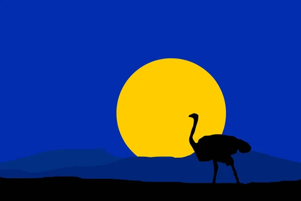Night nature vector with black silhouette ostrich — Stock Vector