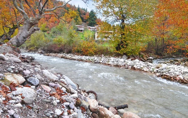 Herbstliche Landschaft von Karditsa Wald mit Fluss thessaly Griechenland — Stockfoto