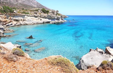 Taşlaşmış orman Laconia Mora Yunanistan