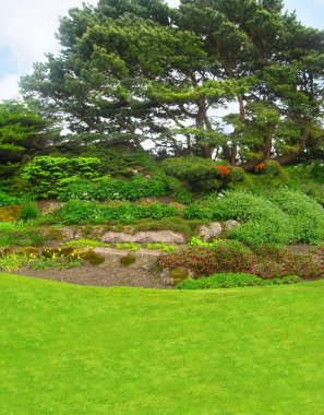 Edinburgh park İskoçya, çiçek peyzaj