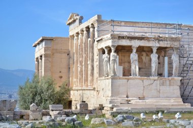 Antik Erechtheion Tapınağı Akropol Atina Yunanistan