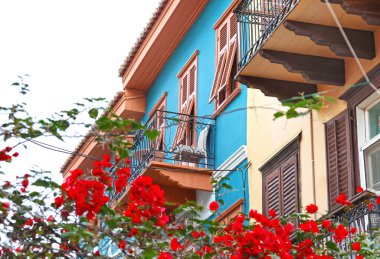 Yunanistan 'ın Nafplio kentinde geleneksel evler - mavi duvar ve bougainvillea çiçekleri