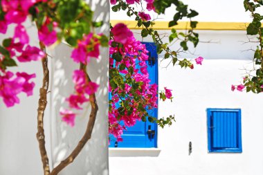 Koufonisia Adaları 'ndaki geleneksel ev manzarası Kiklad Yunanistan - pembe bougainvillea çiçekleri ve mavi pencereli geleneksel evler