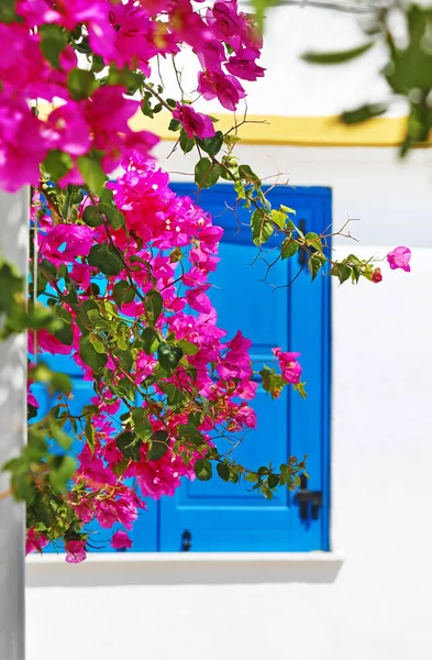 Yunanistan Ano Koufonisi Adasındaki Begonvillerin Arkasındaki Geleneksel Mavi Pencere — Stok fotoğraf