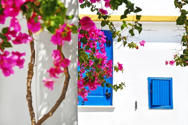 Escena Tradicional Casas Las Islas Koufonisia Cícladas Grecia Flores Buganvillas —  Fotos de Stock