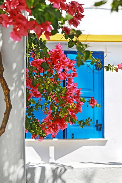 Традиционное Голубое Окно Красной Бугенвиллией Цветы Островах Куфонисия Киклады Греции — стоковое фото