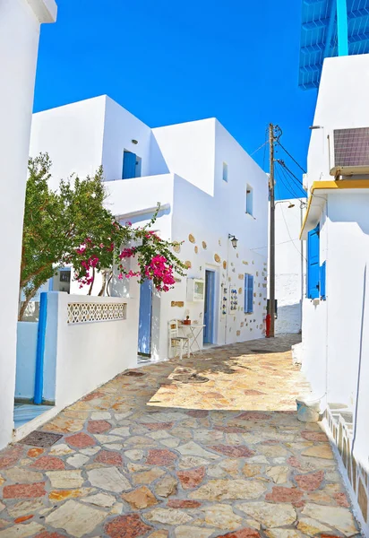 Calle Tradicional Isla Ano Koufonisi Cícladas Grecia —  Fotos de Stock