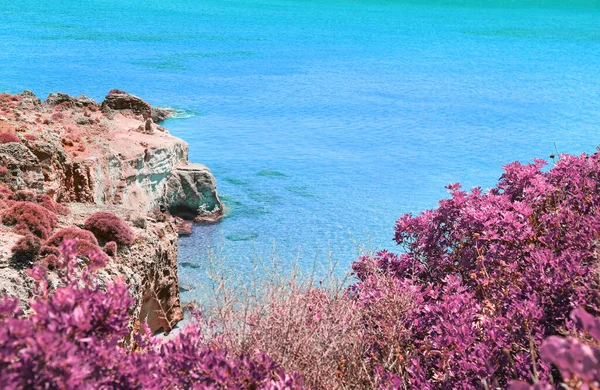 ラコニア海の赤外線風景 ペロポネソスギリシャ ペトリファイド森林景観 — ストック写真