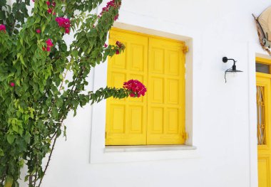 Yunanistan 'ın Ano Koufonisi adasında eski sarı pencereler ve begonillea çiçekleri 