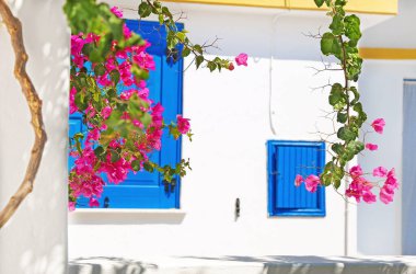 Koufonisia Cyclades Yunanistan 'da çiçek açan begonviller ve mavi pencereler