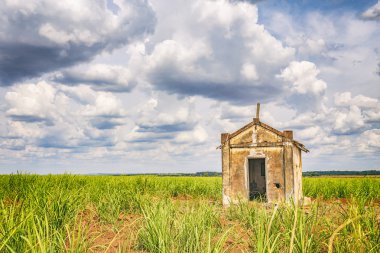 Şeker kamışı ekimi Brezilya içinde eski şapeli terk