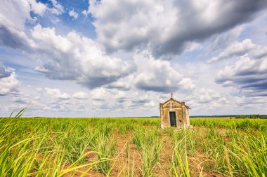 Şeker kamışı ekimi Brezilya içinde eski şapeli terk