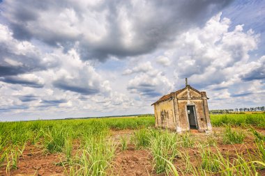 Şeker kamışı ekimi Brezilya içinde eski şapeli terk