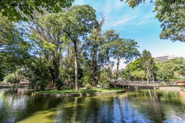 Passeio Publico Parkı. Curitiba, Parana State - Brezilya