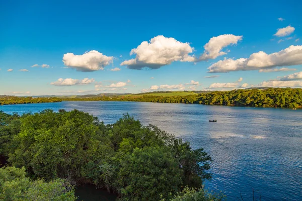 Uberaba bulunan ağaç Brezilyalı Nehri (Aka) 'Rio Grande', yanında. Minas Gerais, Brezilya