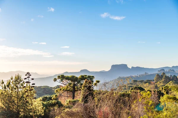 Campos, Jordao, Brezilya 'yı yapıyor. Pedra do Bau görünümü