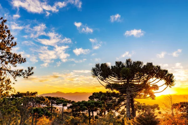 Campos gör Jordao, Brasilien. Minas Gerais berg utsikt — Stockfoto