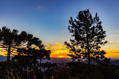 Campos, Jordao, Brezilya 'yı yapıyor. Minas Gerais dağlarının manzarası