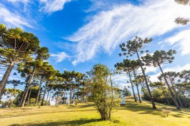 Campos Do Jordao, Brezilya - 04 Temmuz 2017: Felicia Lierner Müzesi