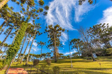 Campos Do Jordao, Brezilya - 04 Temmuz 2017: Felicia Lierner Müzesi