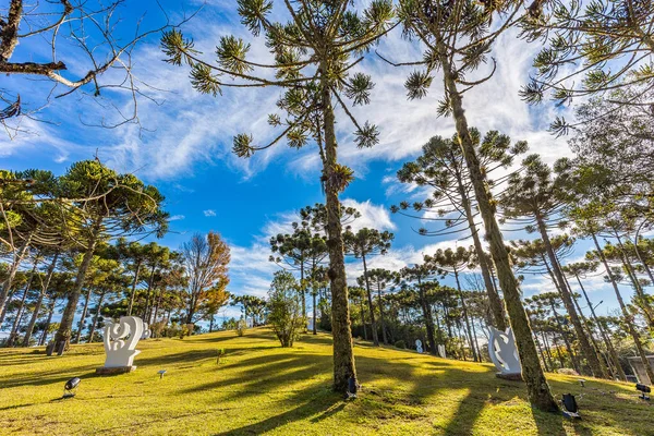 Campos Do Jordao, Brezilya - 04 Temmuz 2017: Felicia Lierner Müzesi