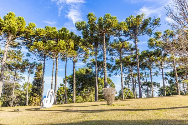 Campos Do Jordao, Brezilya - 04 Temmuz 2017: Felicia Lierner Müzesi