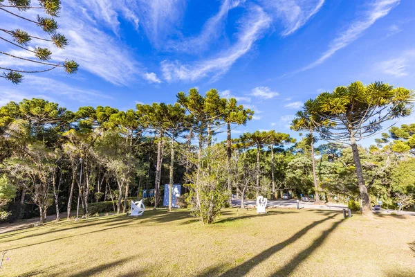 Campos Do Jordao, Brezilya - 04 Temmuz 2017: Felicia Lierner Müzesi