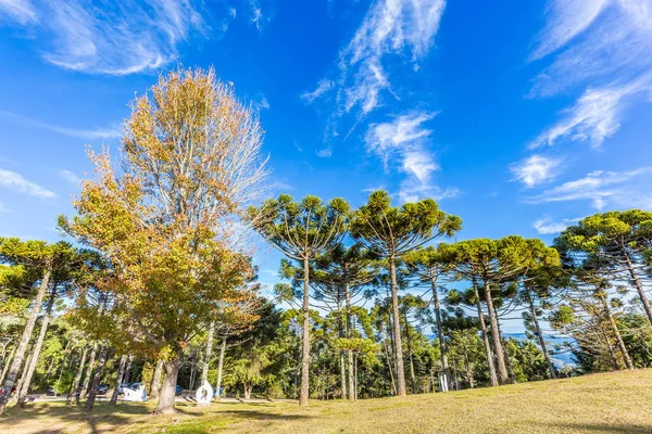Campos Do Jordao, Brezilya - 04 Temmuz 2017: Felicia Lierner Müzesi