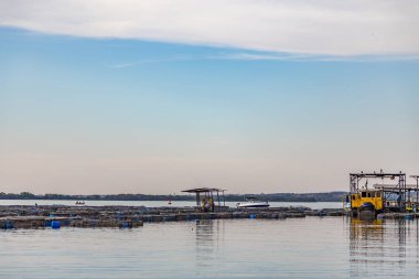 Balık çiftliği - kafes balık pisciculture - Brezilya. Parana Nehri, bord