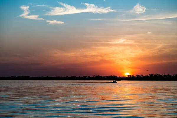 Jetski Parana Nehri, Brezilya. Sao Paulo ve Mato Gro sınırı