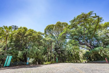 Belo Horizonte Minas Gerais, Brezilya. Belediye Park görünümünü