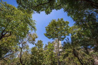Belo Horizonte Minas Gerais, Brezilya. Belediye Park görünümünü