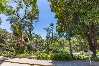 Belo Horizonte Minas Gerais, Brezilya. Belediye Park görünümünü
