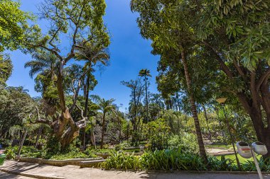 Belo Horizonte Minas Gerais, Brezilya. Belediye Park görünümünü