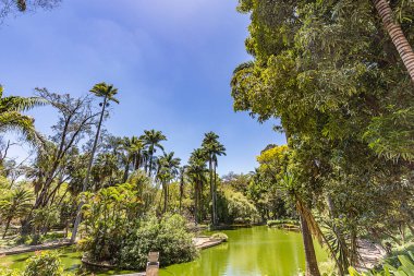 Belo Horizonte Minas Gerais, Brezilya. Belediye Park görünümünü