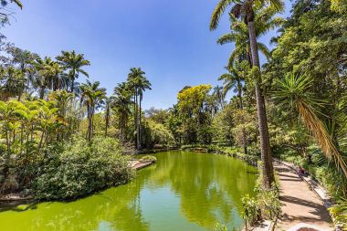 Belo Horizonte Minas Gerais, Brezilya. Belediye Park görünümünü