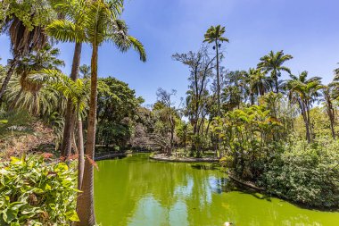 Belo Horizonte Minas Gerais, Brezilya. Belediye Park görünümünü