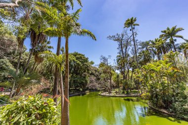 Belo Horizonte Minas Gerais, Brezilya. Belediye Park görünümünü