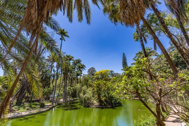 Belo Horizonte Minas Gerais, Brezilya. Belediye Park görünümünü