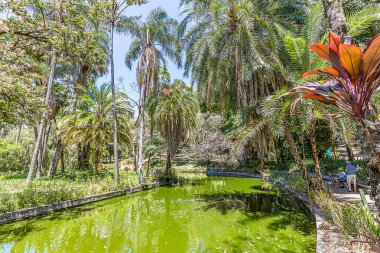 Belo Horizonte Minas Gerais, Brezilya. Belediye Park görünümünü