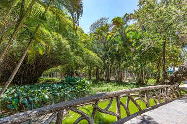 Belo Horizonte Minas Gerais, Brezilya. Belediye Park görünümünü