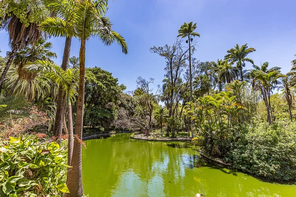 Belo Horizonte Minas Gerais, Brezilya. Belediye Park görünümünü