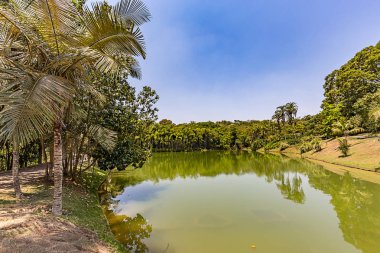 Brumadinho, Minas Gerais, Brezilya. Inhotim bahçeleri ve lake görünümü