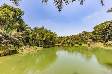 Brumadinho, Minas Gerais, Brezilya. Inhotim bahçeleri ve lake görünümü