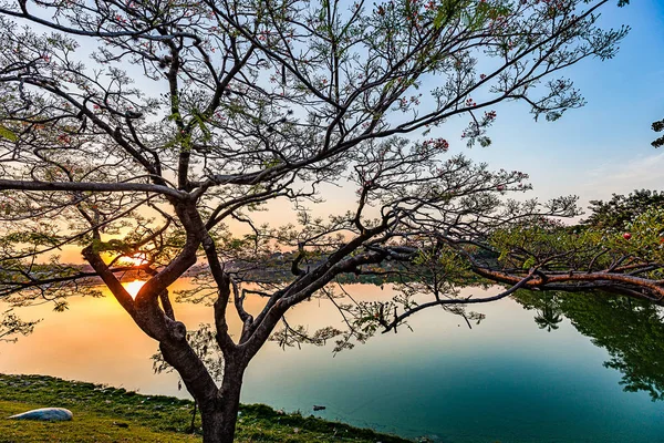 Belo Horizonte Minas Gerais Brasil Vista Del Lago Pampulha Atardecer — Foto de Stock