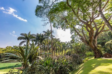 Brumadinho, Minas Gerais, Brezilya. Inhotim bahçeleri ve lake görünümü