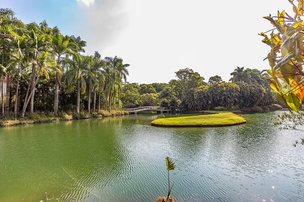 Brumadinho Minas Gerais Brazílie Pohled Inhotim Zahrady Jezera — Stock fotografie